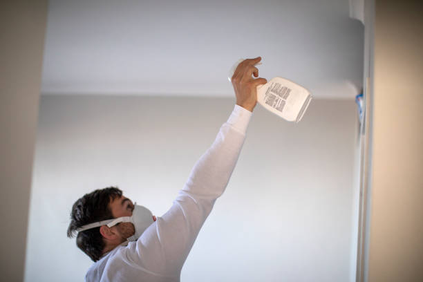 Best Mold Remediation for Specific Building Types in Lemont, IL