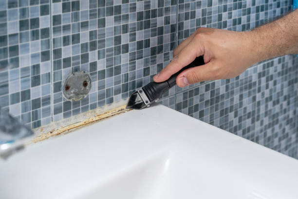 Best Black Mold Remediation in Lemont, IL